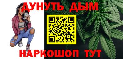 сатива Новокубанск