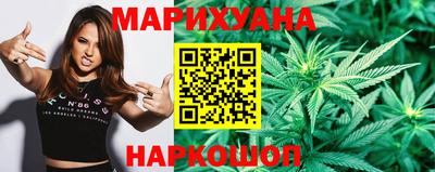 сатива Новокубанск