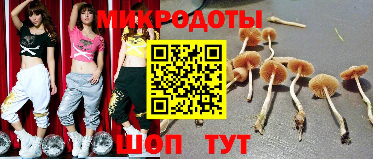Сорочинск  Галлюциногенные грибы мухоморы  Галлюциногенные грибы GOLDEN TEACHER  Вход с VPN 