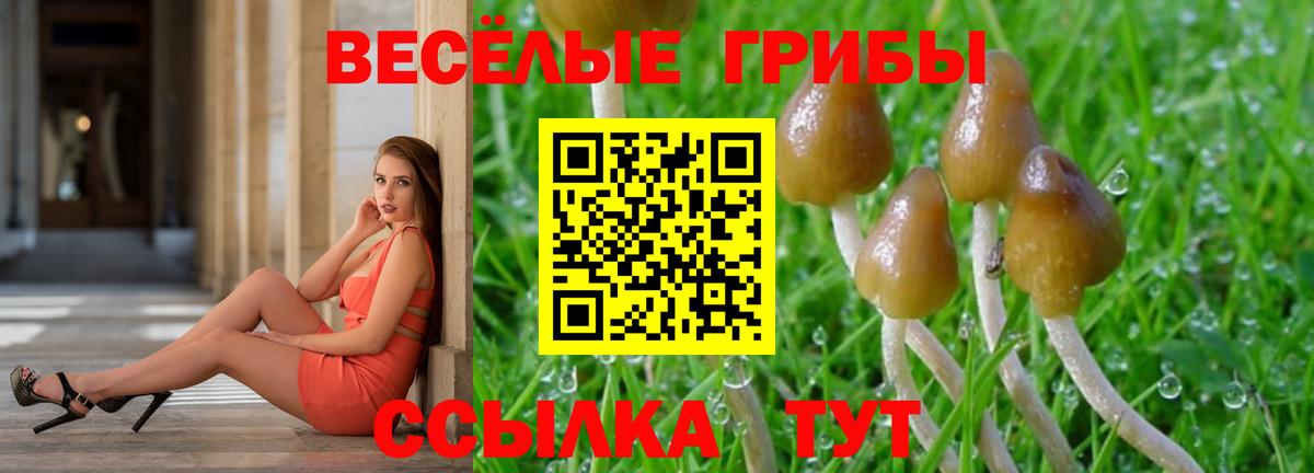Псилоцибиновые грибы мицелий Сорочинск
